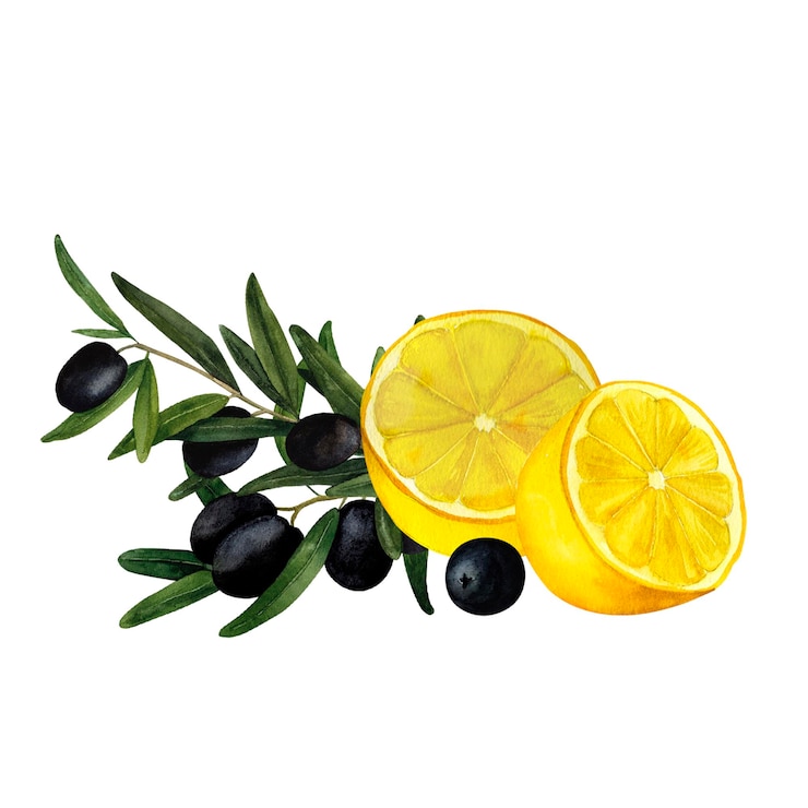 Foto olijftakken en sappige citroenen middellandse zee citruscompositie met de hand geschilderde waterverf muurkunst voor afdrukken op uitnodigingen etiketten productverpakkingen ontwerp en decoratie van keukens en restaurants