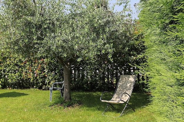 Olijftuin met stoelen, ligstoelen, schommels, pingpongtafels en een eettafel