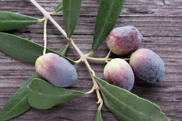 Olive branch on the wooden table