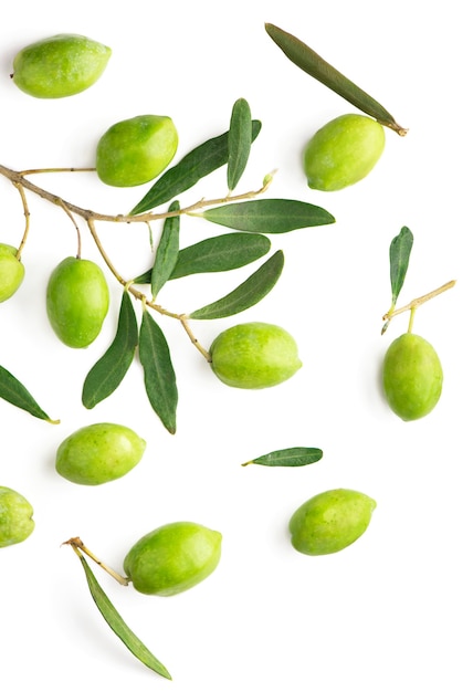 Olive fruit and olive leaves on a white surface.