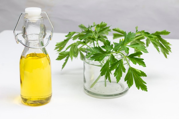 Olive oil in bottle. Sprigs of parsley in jar. White background.