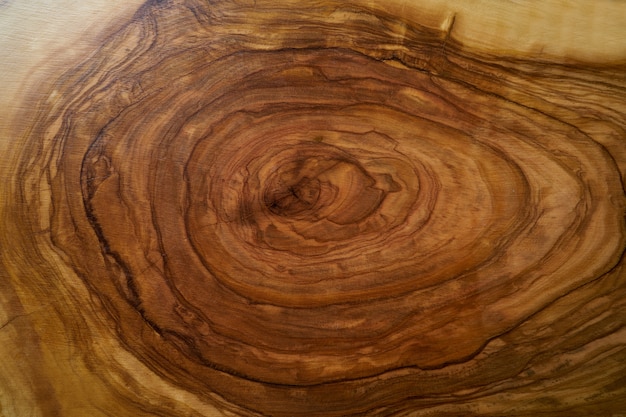 木製のテーブルからオリーブの木の木目テクスチャ