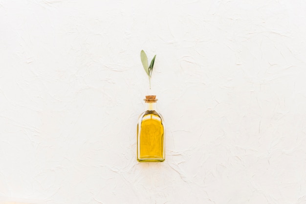 Foto ramoscello verde oliva sopra la bottiglia di olio chiusa sopra lo sfondo bianco