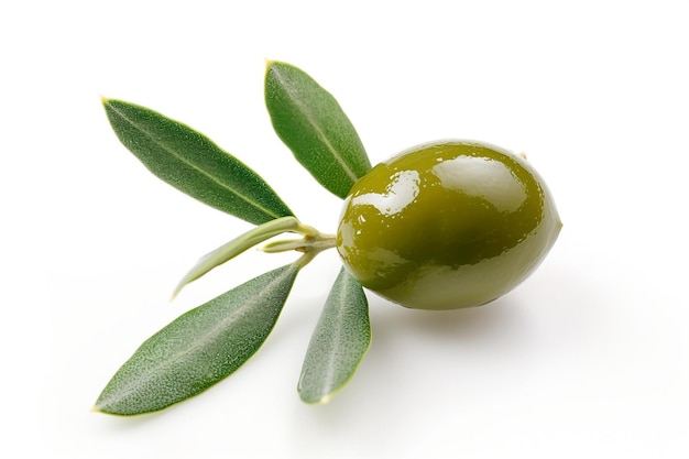 Olive with green leaves