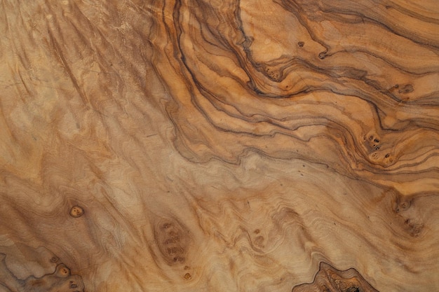 Olive wood texture background Vintage wood Surface of texture with natural pattern Close up cross section of tree texture background