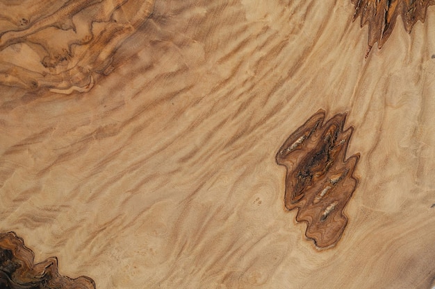 Olive wood texture background Vintage wood Surface of texture with natural pattern Close up cross section of tree texture background