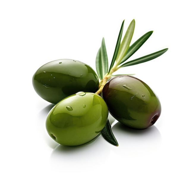 Olives and leaves on a tree branch