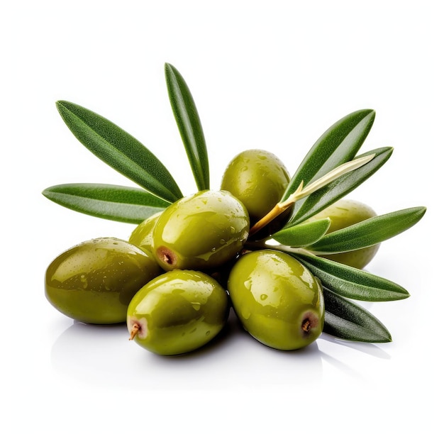 Olives and leaves on a tree branch