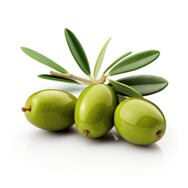 Olives and leaves on a tree branch