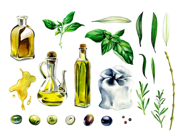 Photo olives oil and herbs watercolor illustration of olives oil and herbs basil and thyme