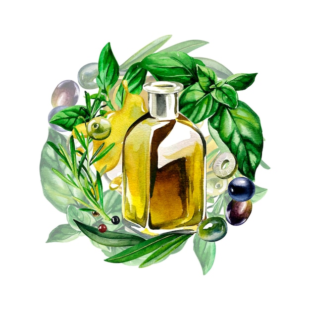 Olives oil and herbs Watercolor illustration of olives oil and herbs basil and thyme