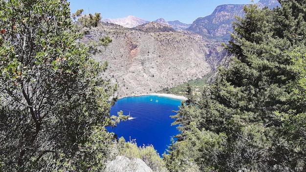 オルデニズのビーチ トルコの木が見える山