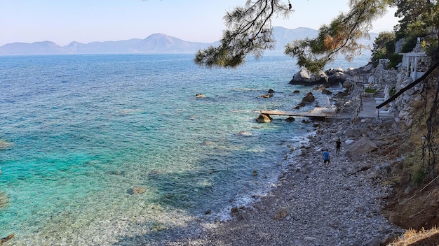 Oludeniz beach Turkey tree see mountain