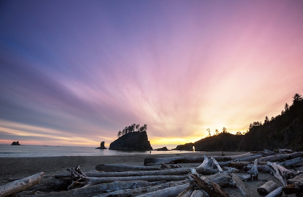 Olympic national park landschappen in zonsondergang