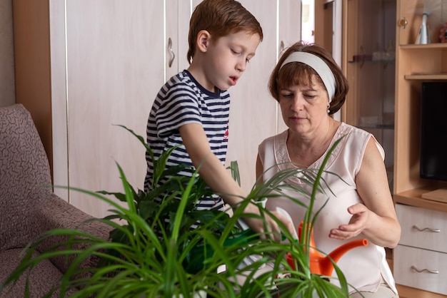 Oma en haar kleine kleinzoon roodharige jongen 67 jaar oud samen bloemen water geven familieplezier het gezin houdt zich bezig met tuinieren thuis het concept van lenteverzorging voor huisplanten