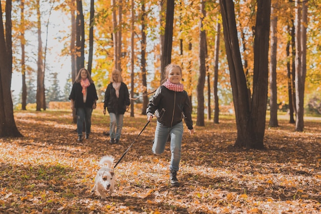 Oma en moeder met kleindochter geven herfstbladeren over in het herfstpark en hebben plezier. Generatie, vrije tijd en familie concept