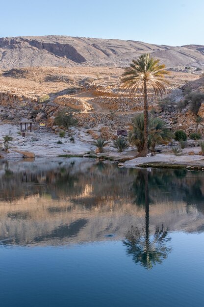 Foto albero di riflessione del lago di oman