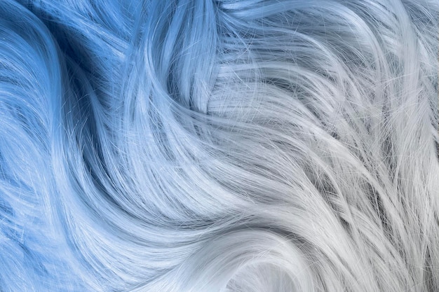 Ombre colored hair blonde to pastel blue closeup as a background