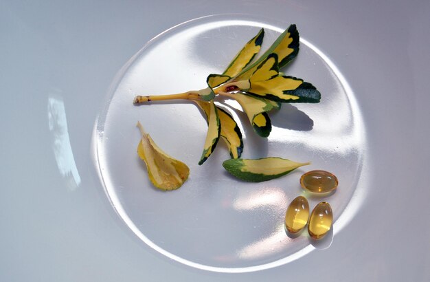 Photo omega 3 capsules