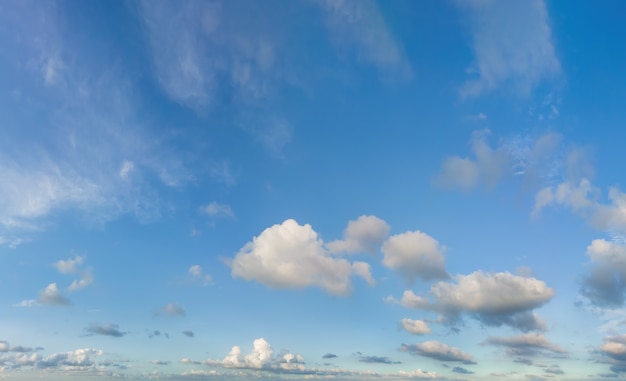 Omhoog kijkend naar de blauwe lucht en de witte wolkenachtergrond