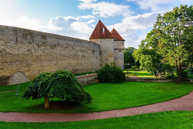 Omtrekmuur van de middeleeuwse stad Tallinn met een pad tussen de bomen in het park.