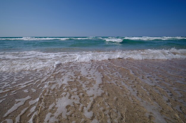 写真 黒海の海岸に