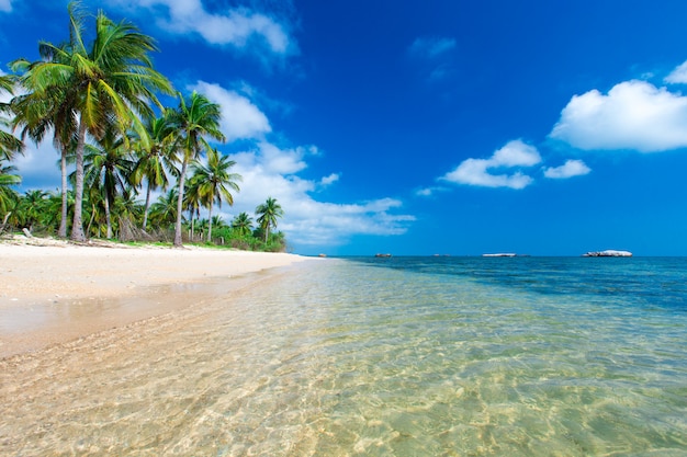 Onaangeroerd tropisch strand in Sri Lanka