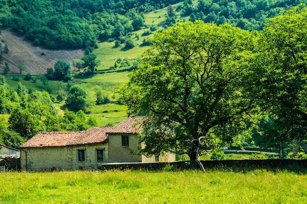 Foto oncieu in ain in francia