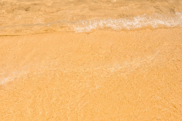 oncoming soft wave. fine yellow sand on beach under the sun abstract background of beach ocean water