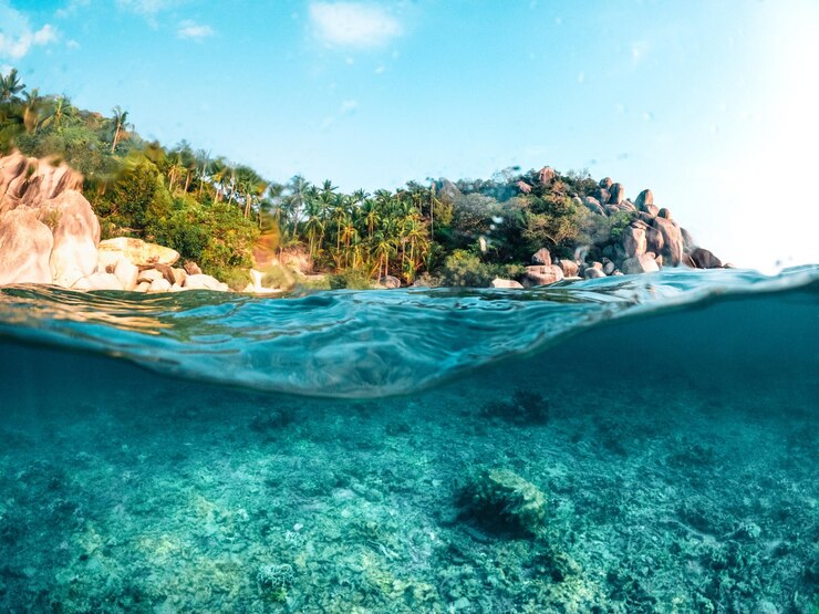 Foto onder de zee en de baai bij koh tao