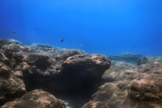 Onder de zee, onderwaterleven, vissen Onderwaterscène Zonlicht