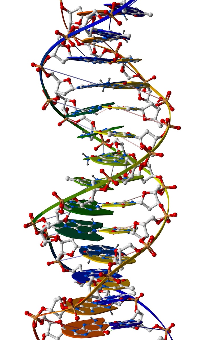 Foto onderdeel van dna-macromolecuul