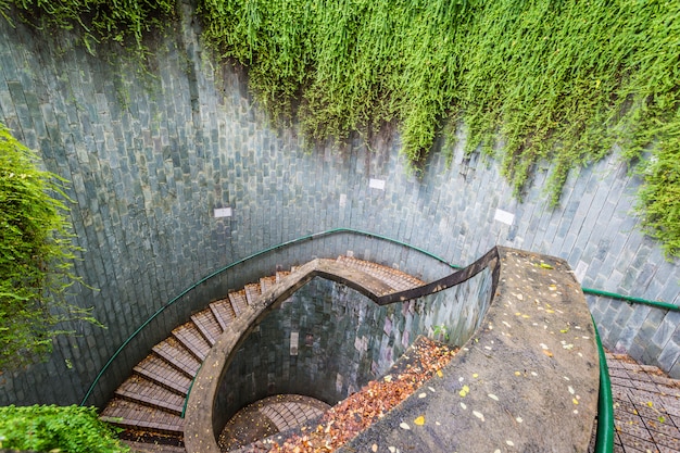 Ondergrondse kruisingstunnel met trap en grote boomachtergrond.