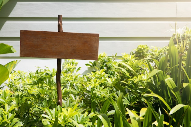 Ondertekenen met groen milieu op zonnige dag met kopie ruimte voor tekst