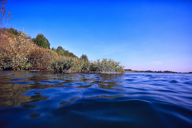 onderwater groen landschap / natuur onderwater eco ecologie meer, wild duiken