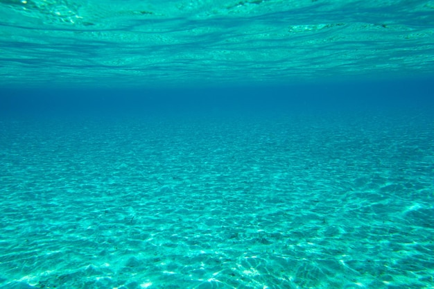 Onderwater scène met kopie ruimte