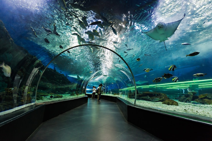 Foto onderwater tunnel