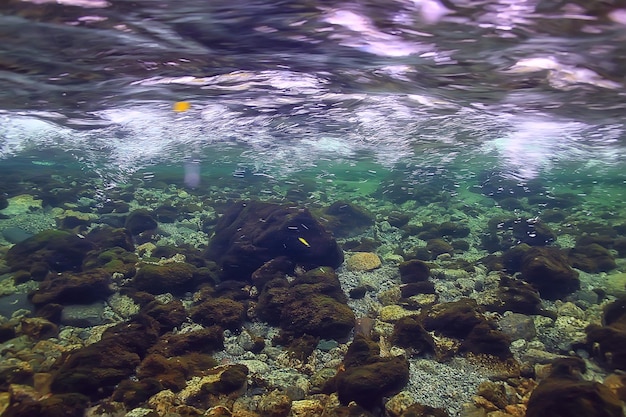 onderwater zoet waterlandschap, het ecosysteemachtergrond van het bergmeer in de zomer, onder watermening