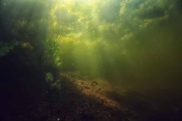 onderwater zoetwater groen landschap / onderwaterlandschap van het ecosysteem van het meer, algen, groen water, zoet water