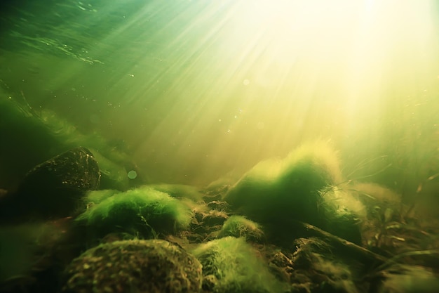 onderwater zoetwater groen landschap / onderwaterlandschap van het ecosysteem van het meer, algen, groen water, zoet water