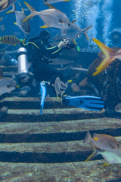 Onderwaterfotografen op duiken. duikers met camera omringd door een groot aantal vissen in het enorme aquarium. atlantis, sanya, hainan, china.