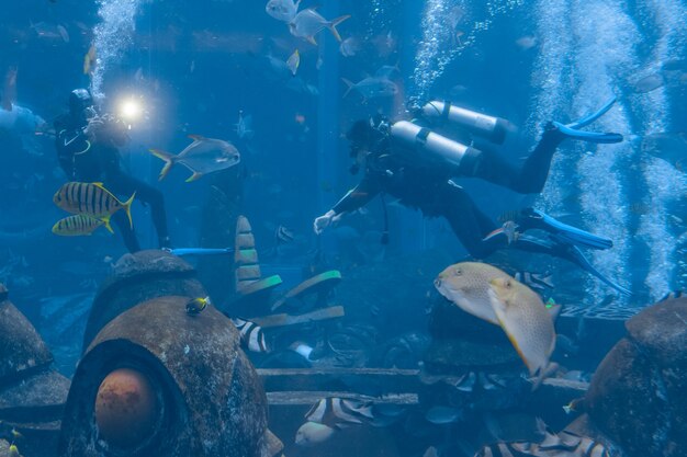 Onderwaterfotografen op duiken. Duikers met camera omringd door een groot aantal vissen in het enorme aquarium. Atlantis, Sanya, Hainan, China.