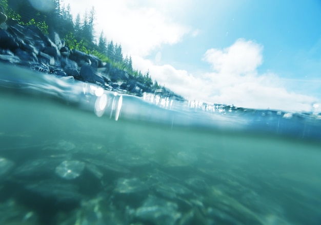 Onderwaterscène in bergenkreek. alaska.