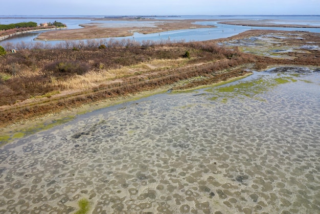 Ondiepe kust van Torcello-eiland met wadden en kwelder Venetiaanse lagune Italië