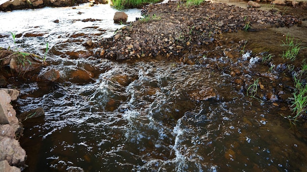 Ondiepe rivierwaterstroom met stenen.