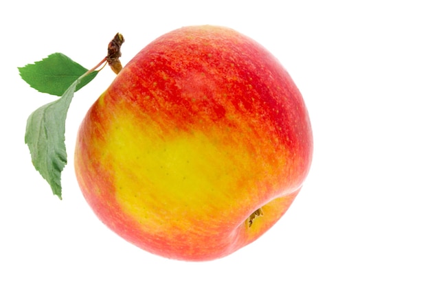 One apple with a leaf on a white background