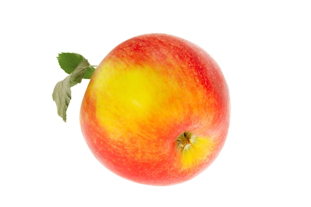 白い背景に葉を持つ1つのリンゴ