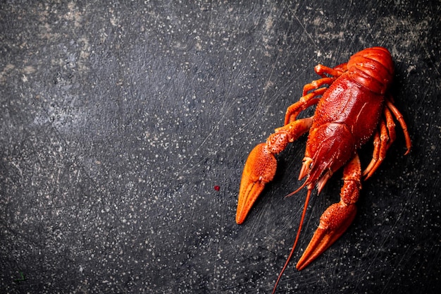 One beautiful boiled crayfish On a black background