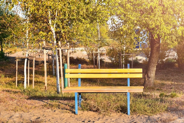 写真 太陽の下で黄色い葉を持つ秋の公園の 1 つのベンチ