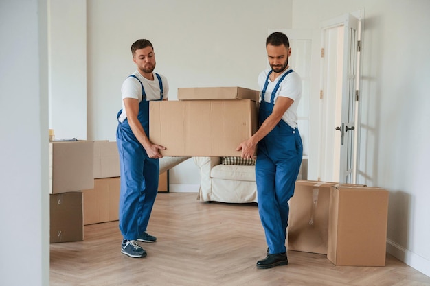 Photo one big heavy box two moving service employees in a room